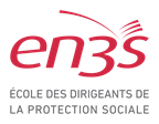 Logo EN3S